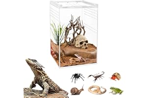 【𝐍𝐨 𝐀𝐬𝐬𝐞𝐦𝐛𝐥𝐲 𝐑𝐞𝐪𝐮𝐢𝐫𝐞𝐝】 Smartang Arboreal Tarantula Enclosure with Magnetic Button,6 * 6 * 9" Thickened Tall Jumping Spider Enclosure,Acrylic Reptile Terrariums for Isopod