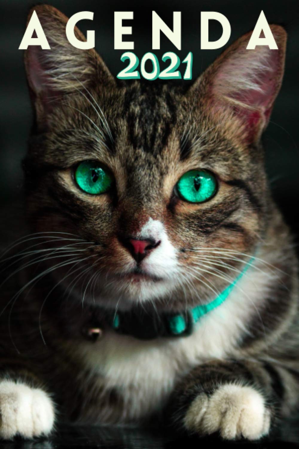 Agenda 21 Chat Et Chaton Agenda Semainier 21 Chat 12 Mois Janvier A Decembre Planificateur Semainier 21 Registre De Mot De Passe French Edition Chat 21 Agenda Amazon Com Books