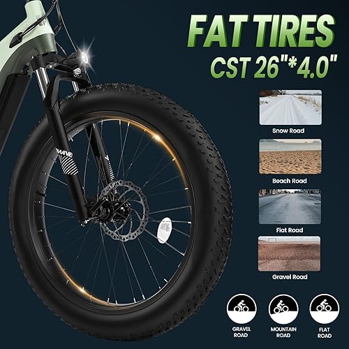 VELOWAVE Grace 48V 20AH Electric Bike for Adults 750W Bafang