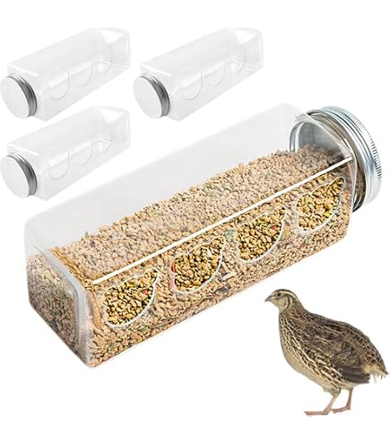 Distributeur Nourriture Oiseaux Forme Ours Lot De 4 Mangeoires En Plastique Pour Poulets Avec Trous 100x12x13 Cm Mangeoire Pour Poussins Du 1er âge Pour 24 Poules Lot 4 Mangeoires Cailles Plastique PP
