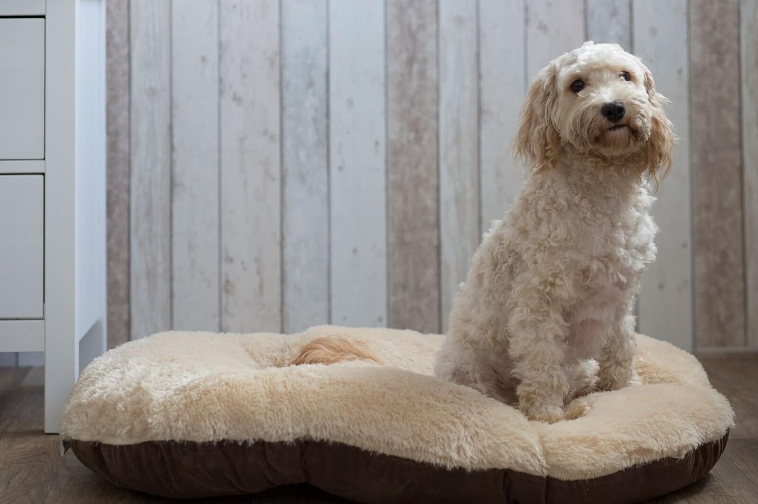 Gor Pets Nordic Oval Cushion for Dog Bed Comfortable Washable 27-inch, Brown, 65 x 15 x 45 cm (L x W x H) - Image 4
