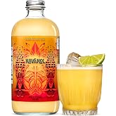Kavahol Non-Alcoholic Kava Spirit Drink Fiery Ginger, 16 fl oz, 10 Servings | 0.0% ABV, Noble Kava Extract 250mg Per Serving