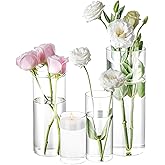 4 Pack Glass Cylinder Vases 4,6,8,10 Inch Tall Clear Flower Vase Hurricane Floating Candle Holder for Table Centerpiece Wedding Home Decor (4)