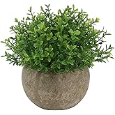 Ogrmar Mini Plastic Faux Plants in Pot/Small Topiary Shrubs Fake Greenery for Bathroom, House Decorations (Green Grass)