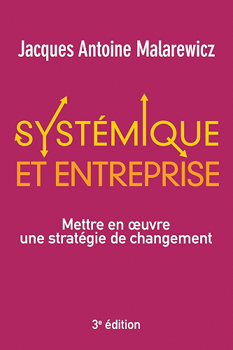 Download Systémique et entreprise: Mettre en oeuvre une stratégie de changement (VILLAGE MONDIAL) PDF