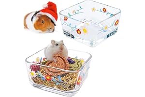 Acsist 2 Pack Glass Hamster Food Bowl Square Guinea Pig Food Dish Bowl Bunny Feeding & Water Bowls for Small Animals Syrian Hamsters Gerbil Ferret Mice Rats Rabbit Chinchilla Hedgehog (Red Daisy)
