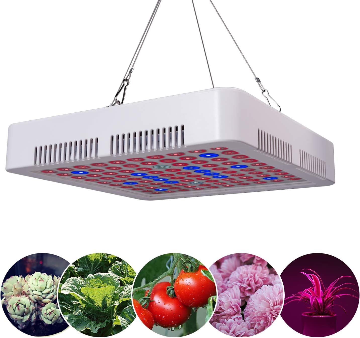 EuroFone 300W LED Grow Light Full Spectrum Dual-Chip Growing Lamp,with Thermometer Humidity Monitor,with UV and IR for Indoor Plants Veg and Flower