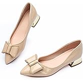 Women's Low Block Chunky Heels Pumps Shoes Pointed Toe Closed Toe Work Pumps Comfortable Slip-on Heels
