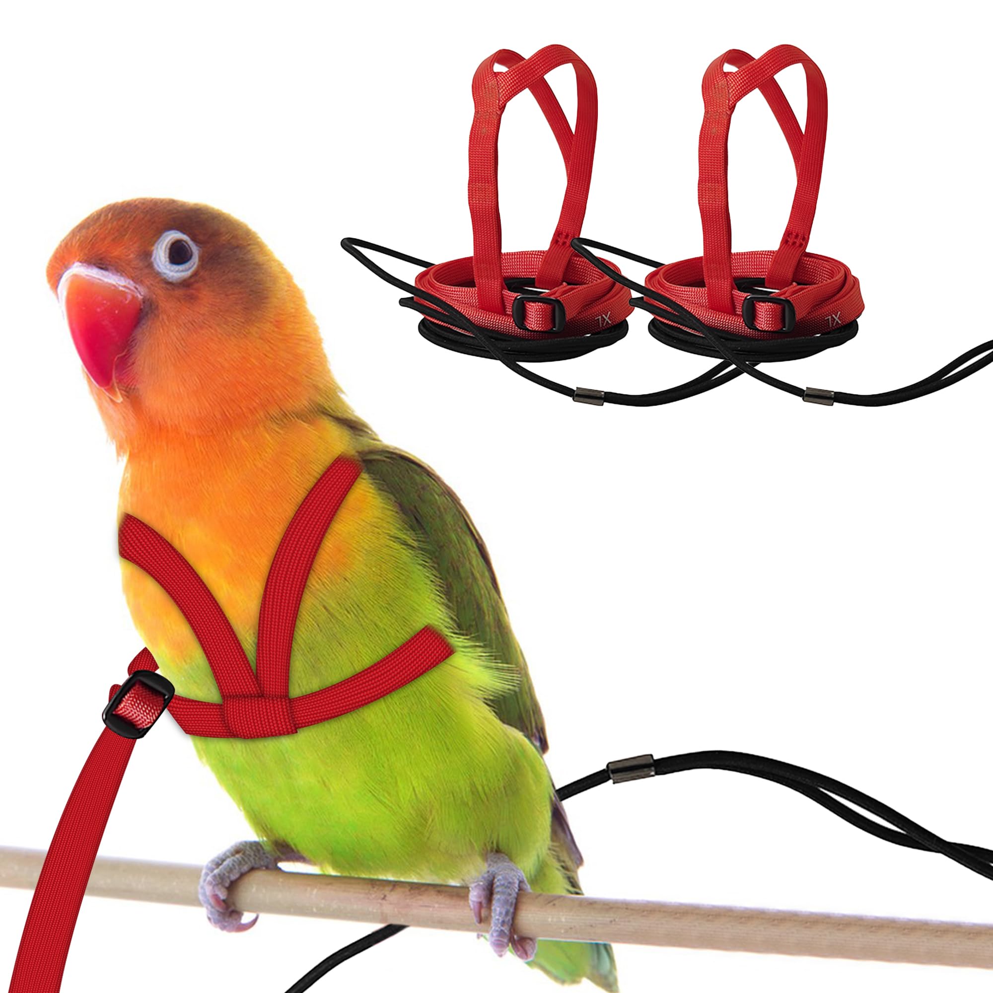 CQJ 2 pcs Pet Parrot Bird Harness and Leash, Adjustable Training Design Anti-Bite, Outdoor Flying Training Rope Kit for Bird Parrots Fits Birds Chest Between24-51cm /9.45-20inch - M (red)