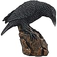 Ebros Gift Gothic Macabre Edgar Poe Perching Raven On Rock Figurine 5" Tall Gothic Crow Scavenger Bird Decor Sculpture