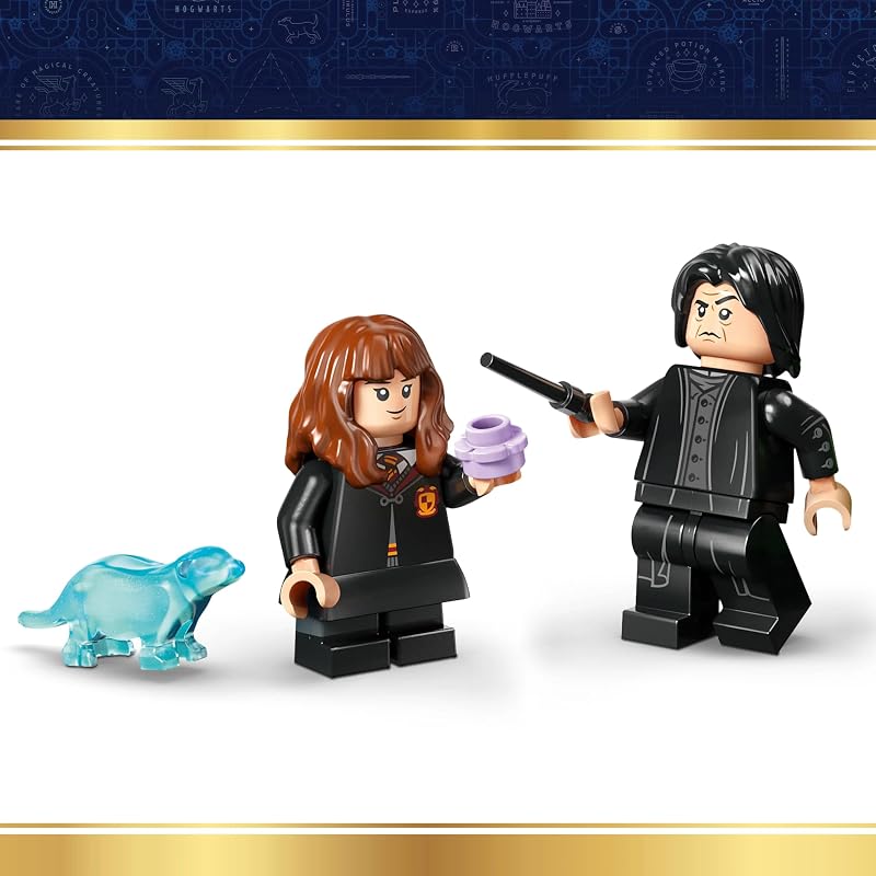 Harry Potter Le Chaudron : Le Cours de Potions caché 76464
