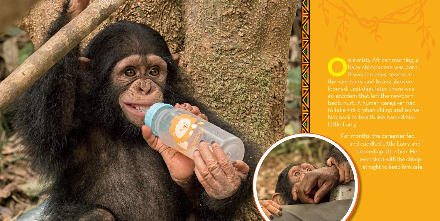 Image result for little larry goes to school mary rand hess