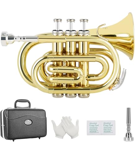 Amazon.com: TRUMPET Bb PITCH BRASS GOLD LOOK WITH FREE HARD CASE