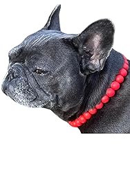 Dog Necklace
