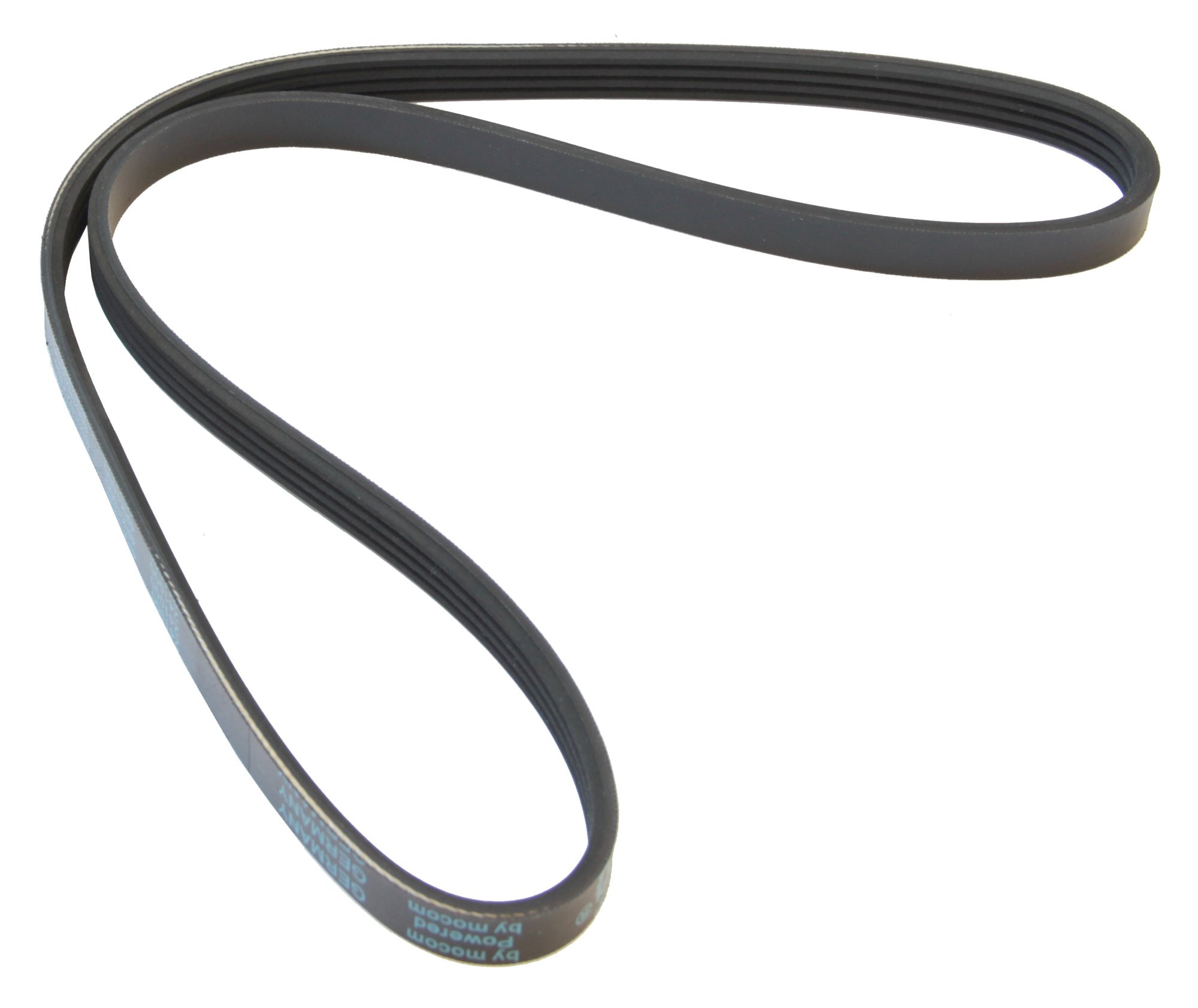 MAPCO V-Ribbed Belts (241000)