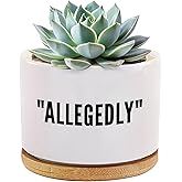 Loovelo Allegedly Lawyer Gifts Ceramic Succulent Plant Pot with Bamboo Tray Round Attorney Law Student Graduation Gifts Plant Lover Home Office Decor 3.5 Inch White (No Plants)