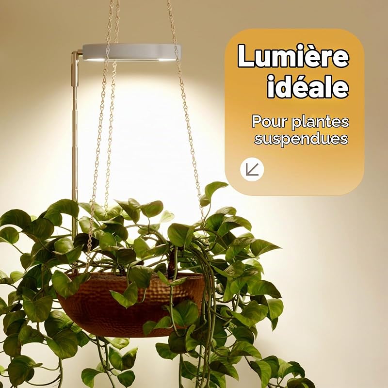 Lampe pour plantes LED à spectre complet, 1 lampe, blanc