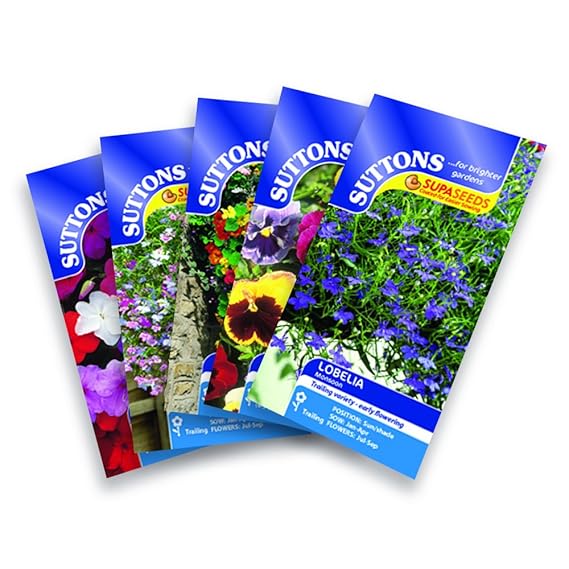 Growing Flowers From Seed For Hanging Baskets at Dorothy Ridley blog