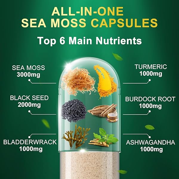 VIBVITA SEA MOSS BLACK SEED OIL CAPSULES – SUPPLEMENTS WITH SEAMOSS, ASHWAGANDHA, BURDOCK ROOT, GINGER & MULTIMINERAL FOR IMMUNE & DIGESTIVE SUPPORT, IMPROVE ENERGY FOR MEN & WOMEN – 60 CAPSULES