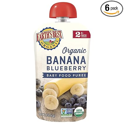 earth's best organic baby food stage 2