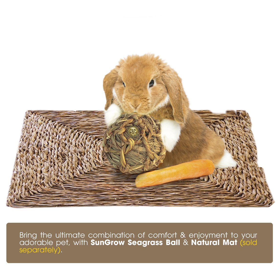 SunGrow Natural Seagrass Ball - Perfect & Safe Chewable Teething Toy for Rabbits, Cats, Hamsters, Gerbils & Birds : Healthy for Your Pet’s Gums & Teeth