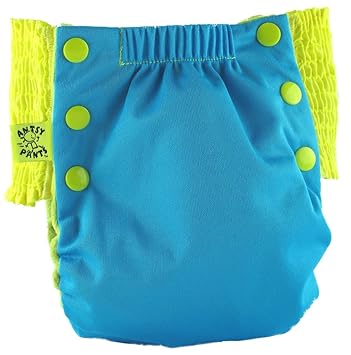 Antsy Pants Pull-Up Cloth Diapers AIO 