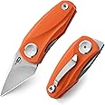 BESTECH KNIVES Mini Folding Pocket Knife: 1.53" 14C28N Steel Stain Stonewash Tanto Blade, G10 Handle, Front Flipper Liner Lock, Good for Outdoor EDC (BG38C Orange)