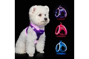 FEYCIG Light Up Dog Harness,Step in Dog Harness for Small Medium Sized Dog,No Pull Reflective Dog Vest Harness 360° High Visibility,LED Pink Dog Harness Rechargeable for Night Walking