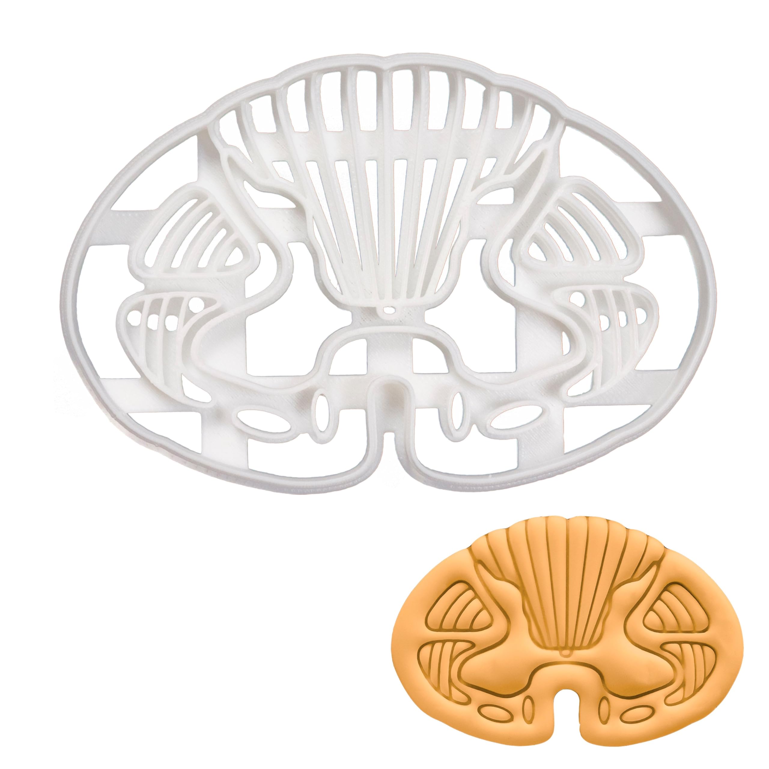 BAKERLOGY Spinal Transverse Cookie Cutter - Detailed Biscuit Cutter Design for Baking and Crafts, Ideal on Fondant, Dough, Clay