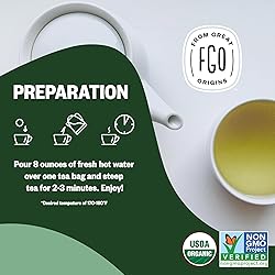 FGO Organic Green Tea, 100 Count Eco-Conscious Tea