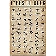 Duck Knowledge Metal Poster Type Of Duck Metal Print Tin Sign School Club Hunting Lodge Cafe Bedroom Bathroom Kitchen Home Art Wall Decoration Plaque