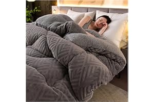 SayfuR Super Warm Double-Sided Velvet Quilt Plush Comforter, Lamb Cashmere Warm Quilt Core, Thickened Double-Sided Plush Comforter, Thick Wintering Warm Quilt,Gray,220x240cm/5kg