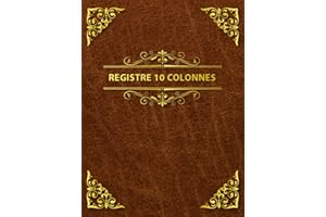 Registre 10 Colonnes: Livre comptable 10 colonnes pour le suivi quotidien et mensuel des revenus et des dépenses, la planific