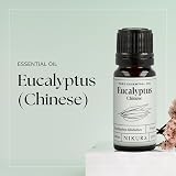 Nikura Eucalyptus Essential Oil 10ml Pure Natural Oil UK Made Vegan view 5