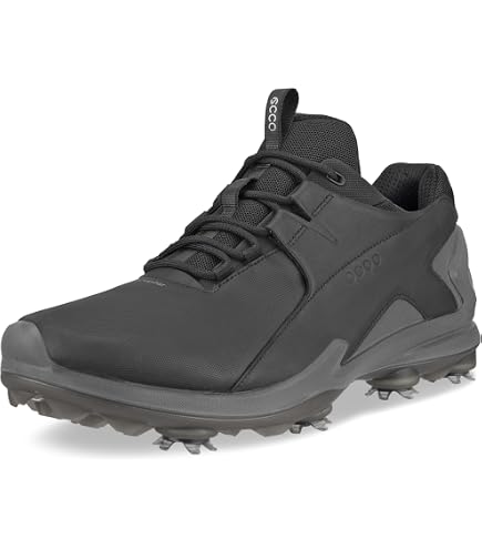 Amazon.com | ECCO Biom G5 Gore-TEX Waterproof, White/Blue Depths