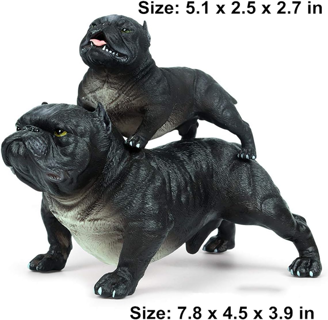 pitbull puppy accessories