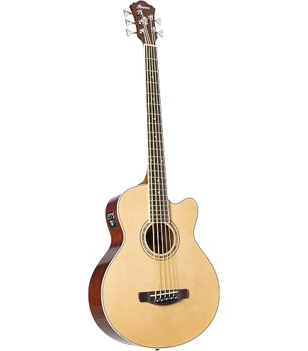 Amazon.com: Ibanez PNB14E OPN Parlor Open Pore Natural Acoustic
