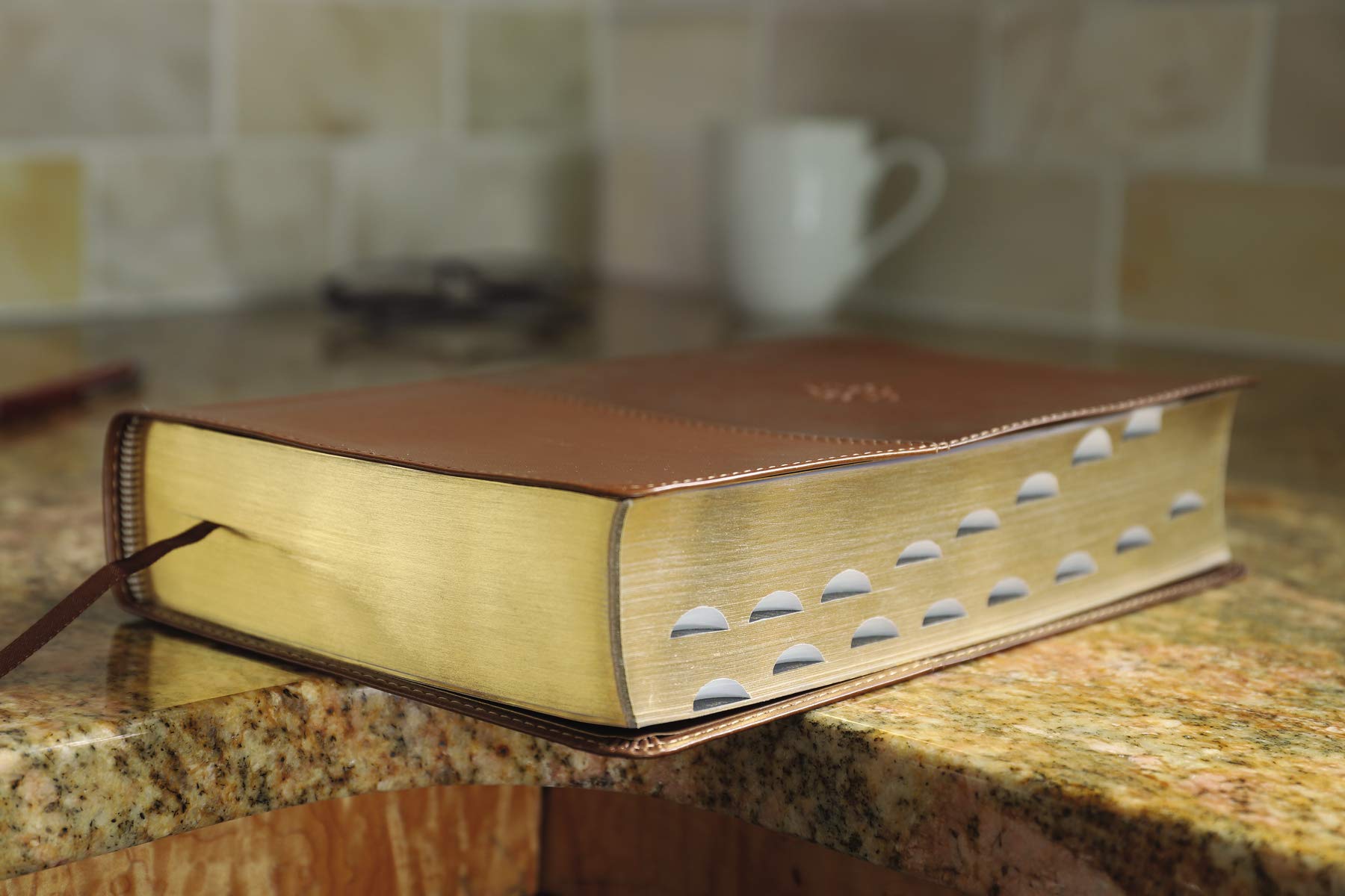 The Amplified Study Bible, Leathersoft, Brown, Thumb Indexed The Amplified Study Bible, Leathersoft, Brown, Thumb Indexed Imitation Leather