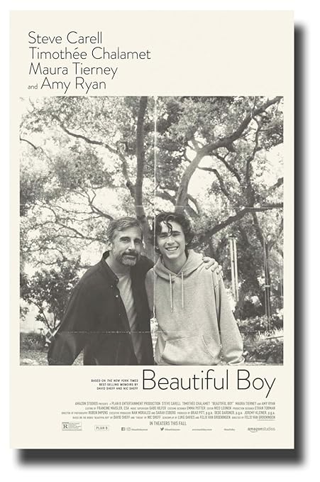Image result for beautiful boy movie poster