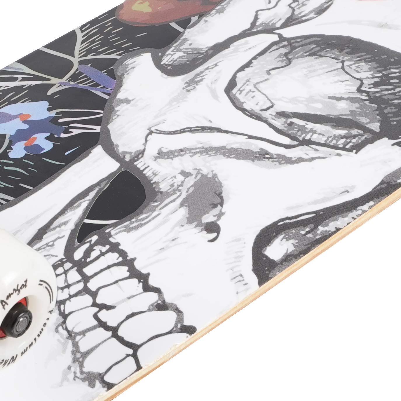 Amrgot Skateboards for Beginners,31 * 8 inches Complete Skateboards for Kids,Boys,Girls and Adults,7 Layer Maple Wood,Double Kick Deck Concave Standard and Tricks Skateboard