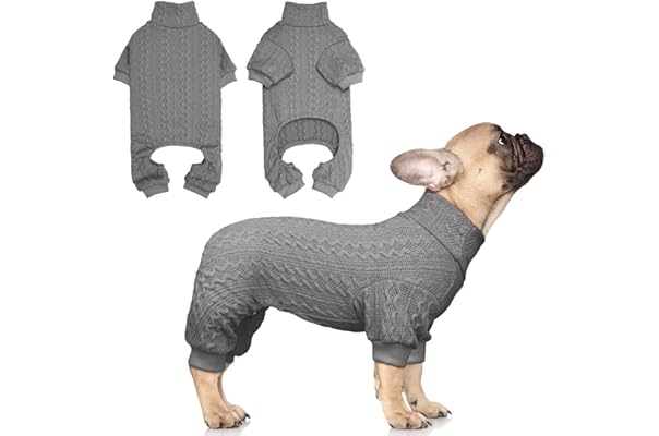 amazon prime dog clothes
