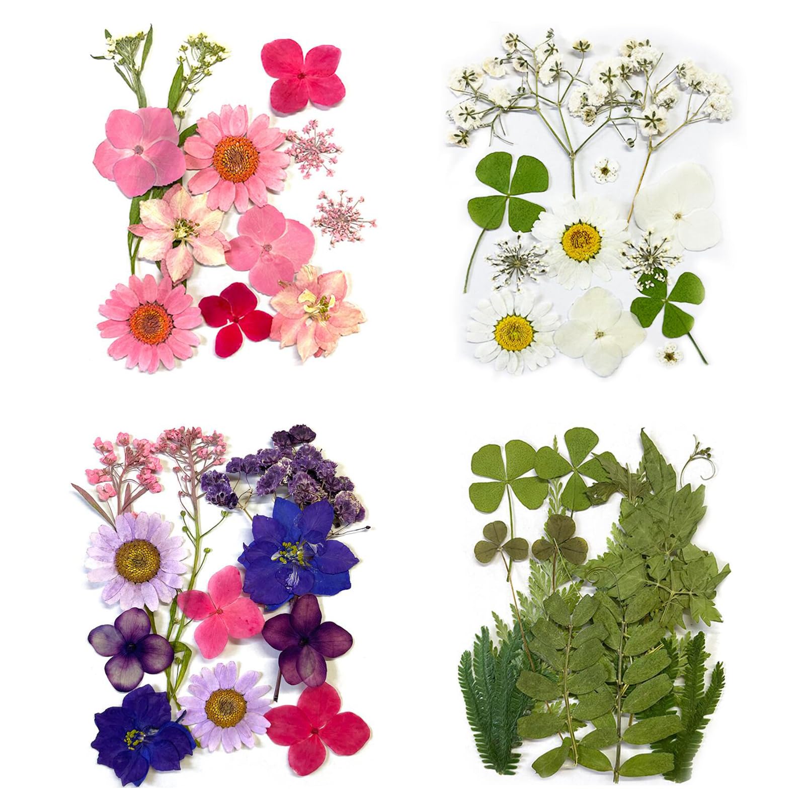 DFsucces 4 Packs About 60 Pcs,Pressed Dried Flowers,Real Dried Pressed Flowers,Pressed Flowers for Resin,Mixed Multiple Natural Flowers Leaves,for Crafts Making Floral Decors Scrapbooking DIY (4-2)