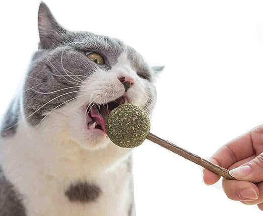 catnip lollipop with matatabi stick