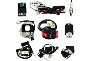 CPVNQMDG Complete Wiring Harness Kit ATV Wire Harness Aftermarket Replacement Parts Fit for Tao tao 50cc 70cc 110cc 125cc ATV Quad 4 Wheeler Dirt Bike with Electrics Stator Coil CDI Solenoid Relay