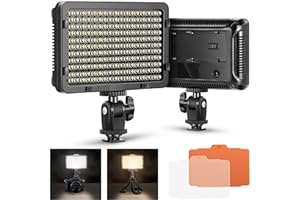 Neewer on Camera Video Light Photo Dimmable 176 LED Panel with 1/4" Thread for Canon, Nikon, Sony and Other DSLR Cameras, 5600K (Battery Not Included)