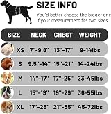 Belababy Soft No Pull Dog Harness Small Reflective Adjustable Vest Black view 2