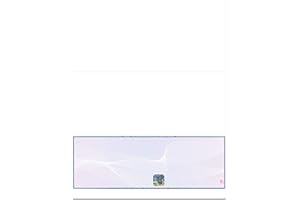 EZ Checks Premium Blank Hologram High Security Laser Check Stock | 1000 Sheets (Blue/Maroon, Check at Bottom)