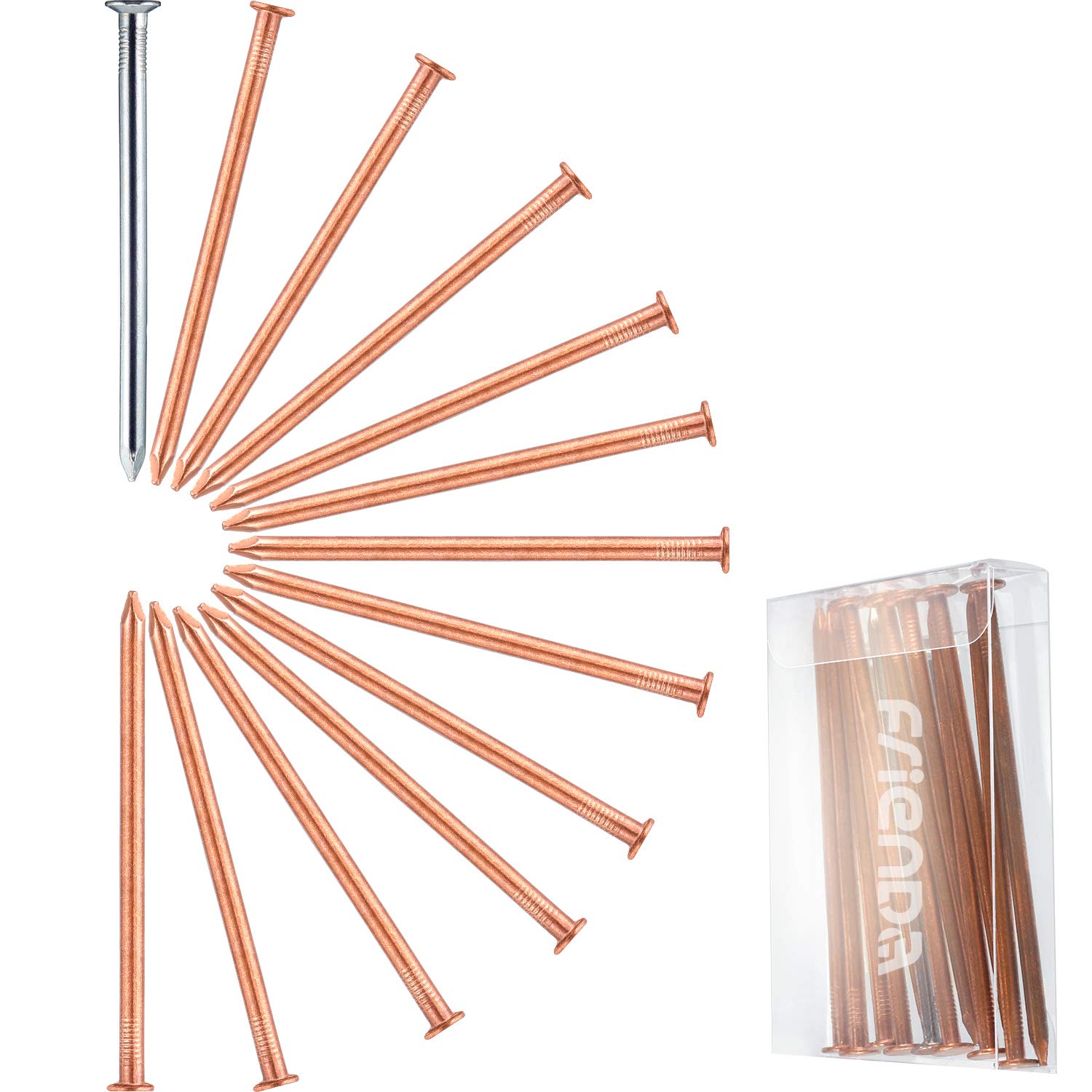 4 Inch (100mm) 12 Pieces Long Copper Nails for Tree Killing, Stump Removal with 1 Piece 4 Inch Steel Nails, Storage Box Included