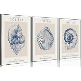Blue Coastal Beach Seashell Wall Art Vintage Ocean Beachy Quotes Paintings Prints Posters Blue and Beige Ocean Themed Canvas