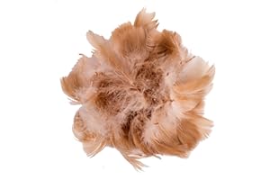 HaiMay 450 Pieces Brown Feathers for Craft Wedding Home Party Decorations, 3-5 Inches Brown Craft Feathers